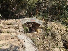 -午潮山国家森林公园