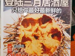 -三月居酒屋(青年大街店)