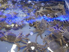 -澜悦港海鲜体验主题餐厅