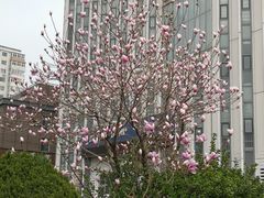 -东土食研所(渔港路店)