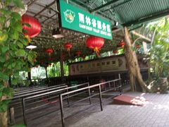 -呀诺达热带雨林
