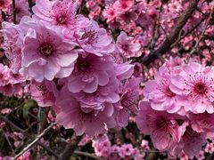 -燕郊植物园
