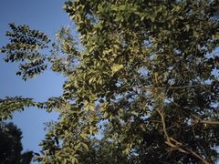 -贮水山儿童公园