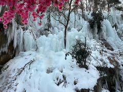 -沂蒙山旅游区云蒙景区(蒙山国家森林公园)