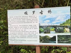 -高荡千年布依古寨旅游景区