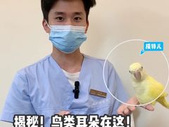 -立德异宠动物医院.兔鸟爬.内窥镜(天河店)