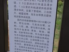 -芒洲湿地公园