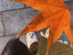 -梁鸿国家湿地公园