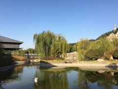 -鹦鹉寺公园