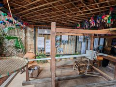 -西双版纳原始森林公园