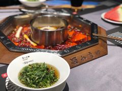 -蜀九香火锅(九眼桥店)