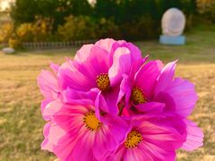 -长春世界雕塑园冰雪艺术天地