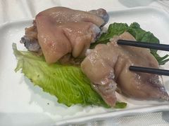 -丁老爷子苏香圆