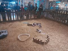 android_upload_pic-远洋未来广场(育慧北路店)