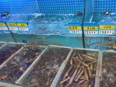 -启东小海鲜(庄先湾路1号店)