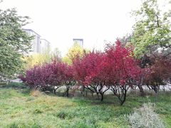 -玲珑塔公园