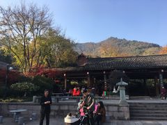 -杭州半山国家森林公园