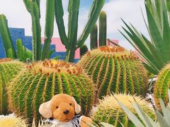 -漳州滨海火山岛自然生态风景区