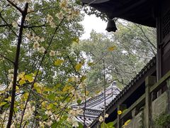 -宁波市保国寺古建筑博物馆