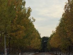 -江南大学(蠡湖校区)