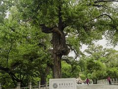 -北陵公园