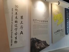 -辽宁古生物博物馆