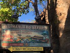 -奥兰多迪士尼动物王国乐园