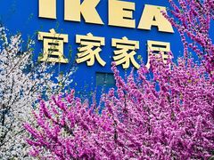-武汉荟聚