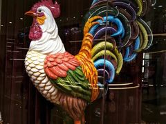 -大头椰·椰子鸡火锅(南宁万象城店)