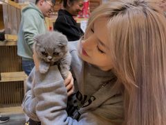 -福尔喵斯探案馆实景搜证·沉浸式剧本杀