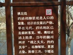 -桃花堤公园