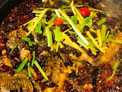 -老板恋上鱼(恒隆广场店)