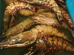 -ZF Seafood Restaurant 卓峰海鲜餐