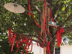 -山也·私厨(岳麓店)