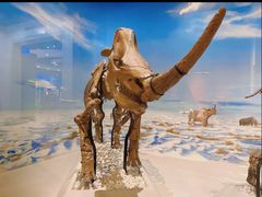 -国家自然博物馆