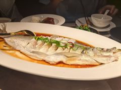 清蒸白水鱼-醉庐·新上海菜(南京西路店)