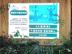 -深圳野生动物园