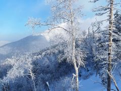 -亚布力新体委滑雪场