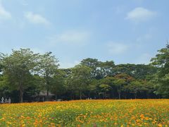 -海珠湖公园
