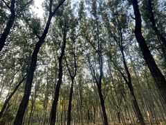 -森林公园(尖草坪区)