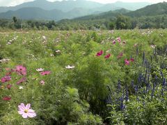 2013-09-06-541-百里山水画廊乌龙峡谷