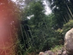 -藏龙百瀑漂流