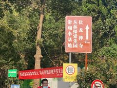 -伏龙山滑翔伞基地