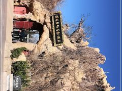 -大槐树寻根祭祖园