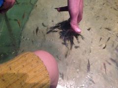 iphone_upload_pic-台州海洋世界