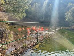 -千岛湖东南湖区
