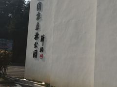 -四明山国家森林公园