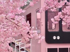 -金茂览秀城
