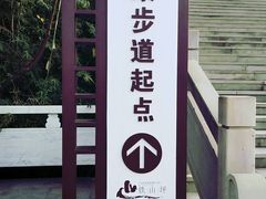 -铁山坪森林公园