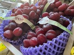 -马陆小张葡萄园农家乐